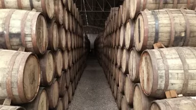 Tequila Tasting Tlaquepaque