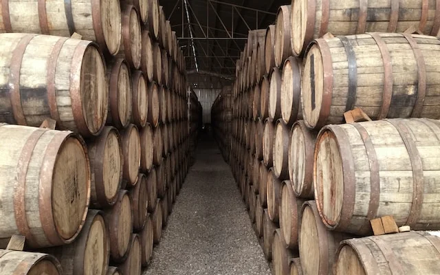Best Tequila Tastings in Tlaquepaque That You’ll Love