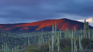 Ultimate Guide: The Best Things to do in Oaxaca 2023 37 Ultimate Guide: Things to do in Oaxaca 2023
