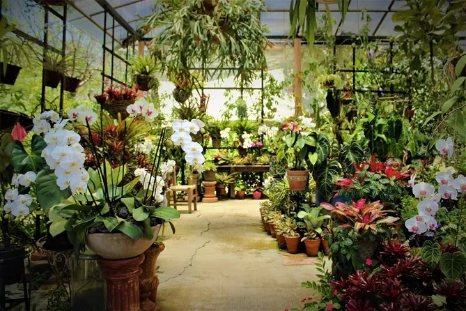 Ultimate Puerto Vallarta Botanical Gardens and Tequila Tasting