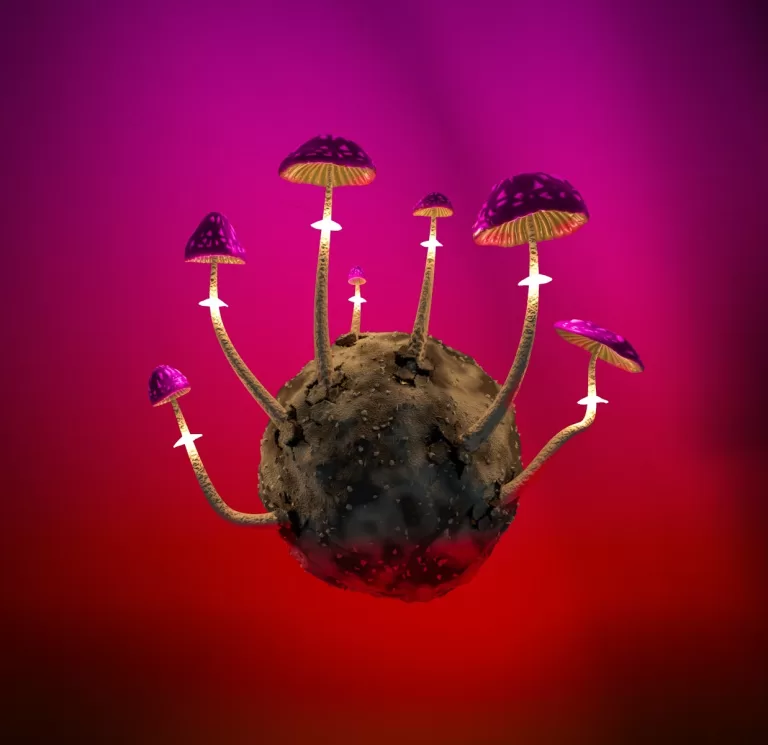 Best Movies to Watch on Mushrooms: Ultimate Movie Guide