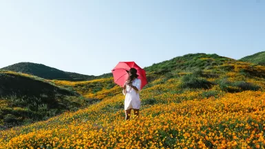 woman walking on orange petaled flower plant field while holding red best travel umbrella